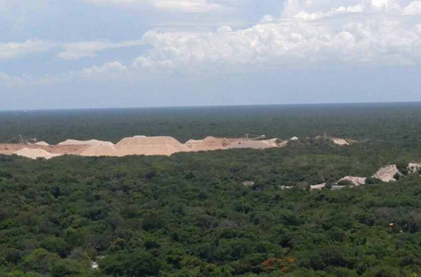  Calica: la minera que arrasa con todo en Playa del Carmen