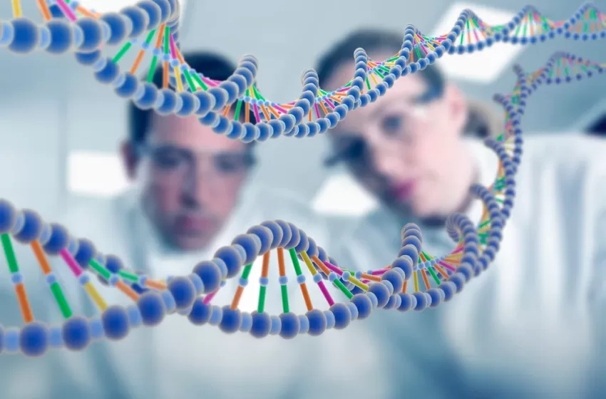  Hito científico: terminaron de decodificar un genoma humano completo