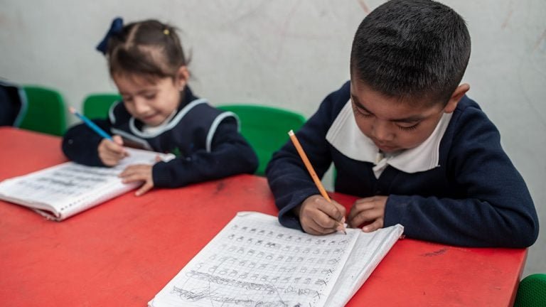  El 60% de los estudiantes de primaria en México tienen ‘lectura deficiente’