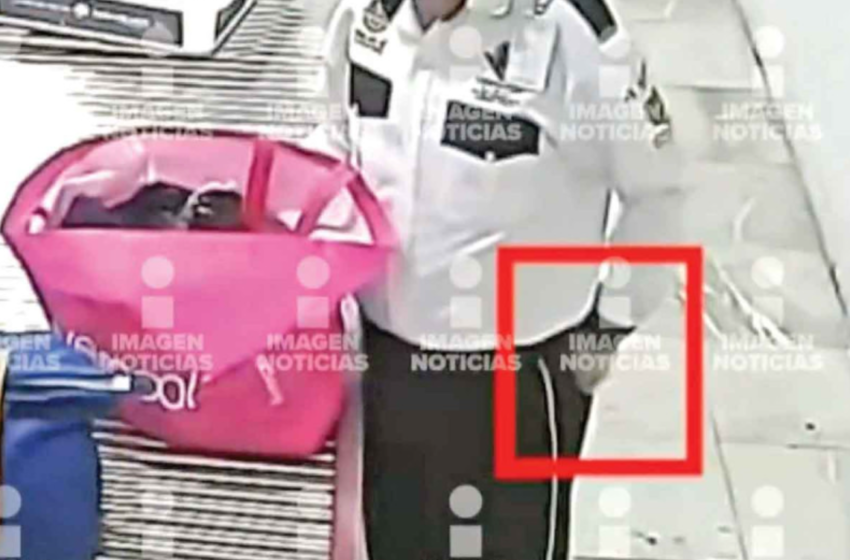  Seguridad privada roba a usuarios del AICM; abren maletas y esculcan bolsas