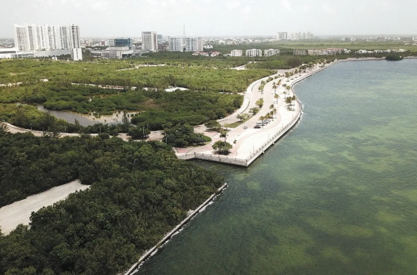  DMAS reporta graves condiciones de contaminación del agua en Cancún