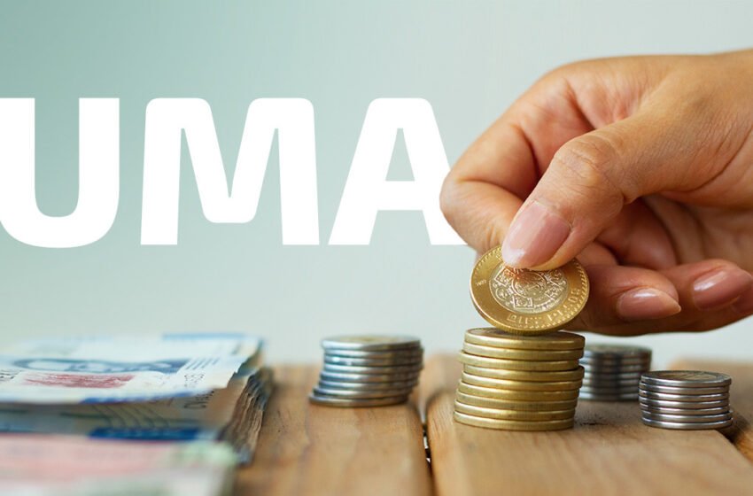  UMA subirá a 103.74 pesos en 2023; ¿qué es y para qué sirve?
