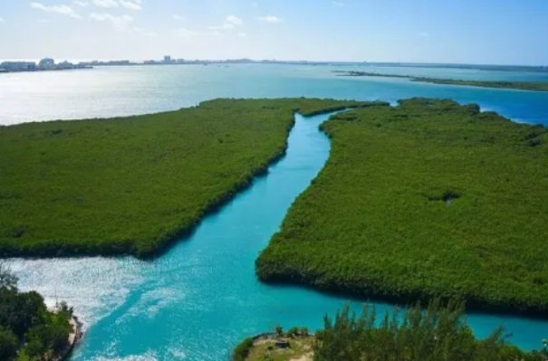 Se trata de una laguna de gran tamaño y es el hogar de muchas especies de animales, por ejemplo los cocodrilos, como también de plantas y vegetación, siendo en este caso los manglares. Aquí podrás rentar algunas lanchas y así poder recorrer los alrededores o sentarte en las palapas que hay y pasar un rato relajante.