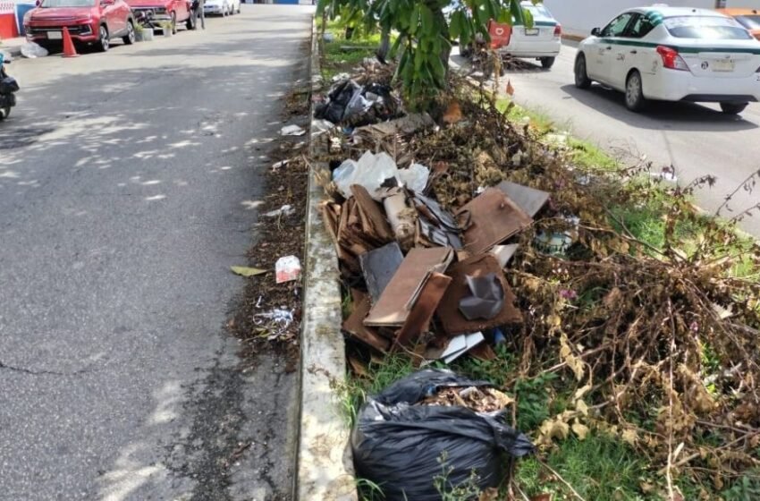  Basureros al aire libre en Cancún: generan problemas de salud e inundaciones