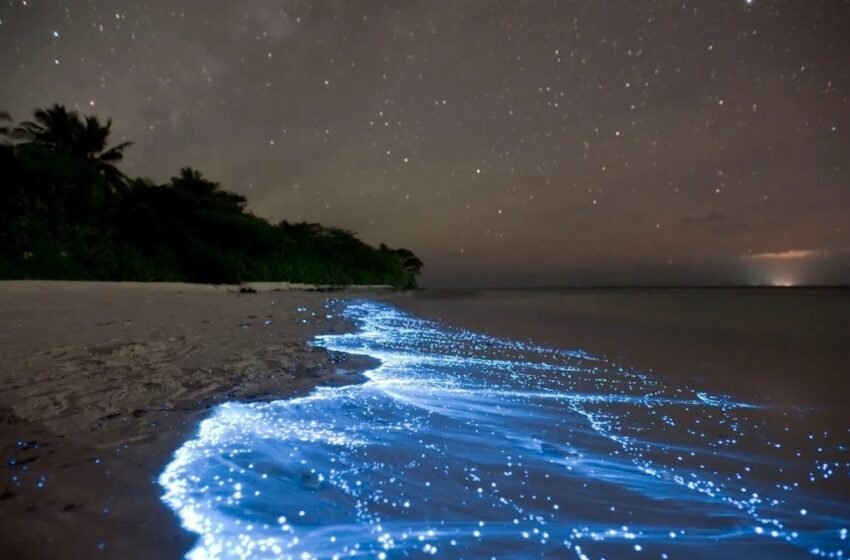 Disfruta Holbox de noche, no te arrepentirás