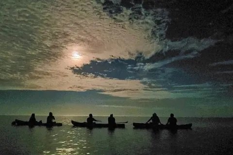  Tres actividades nocturnas para disfrutar en Holbox