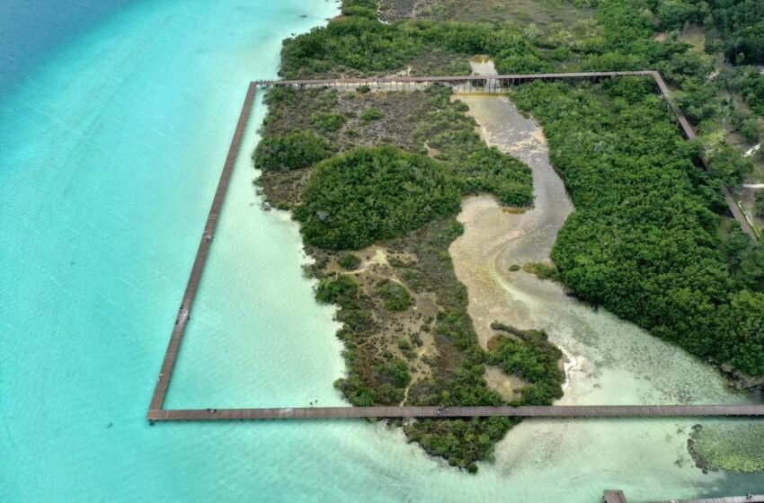  Ecoparque de Bacalar: en la mira de revista internacional