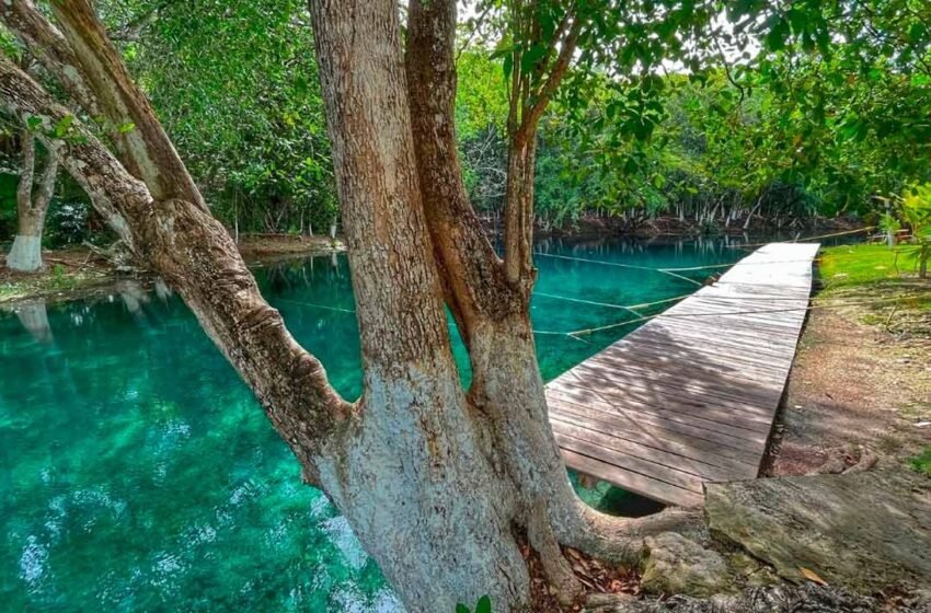  Lol-Ha: un paraíso natural en Bacalar