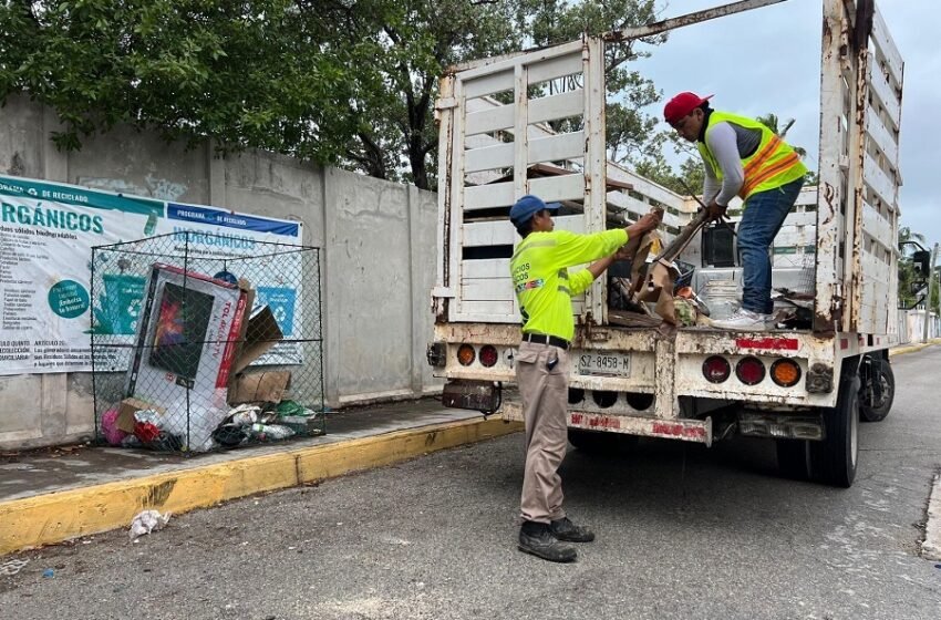 Se llevó a cabo una Jornada de Descacharrización en las colonias Electricistas y Caribeña de la zona insular.