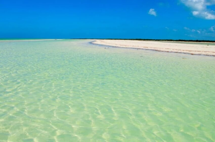  Holbox: Punta Mosquito un paraíso natural para disfrutar del ecoturismo