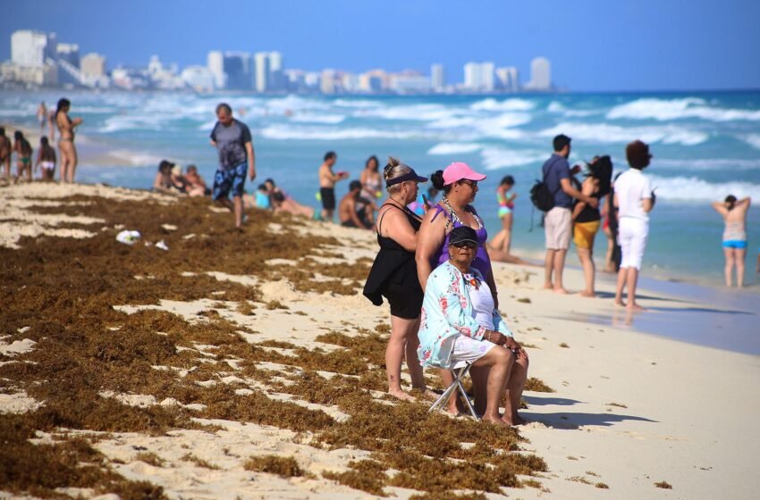 A finales del año pasado hubo un recale repentino de algunas playas del caribe mexicano.