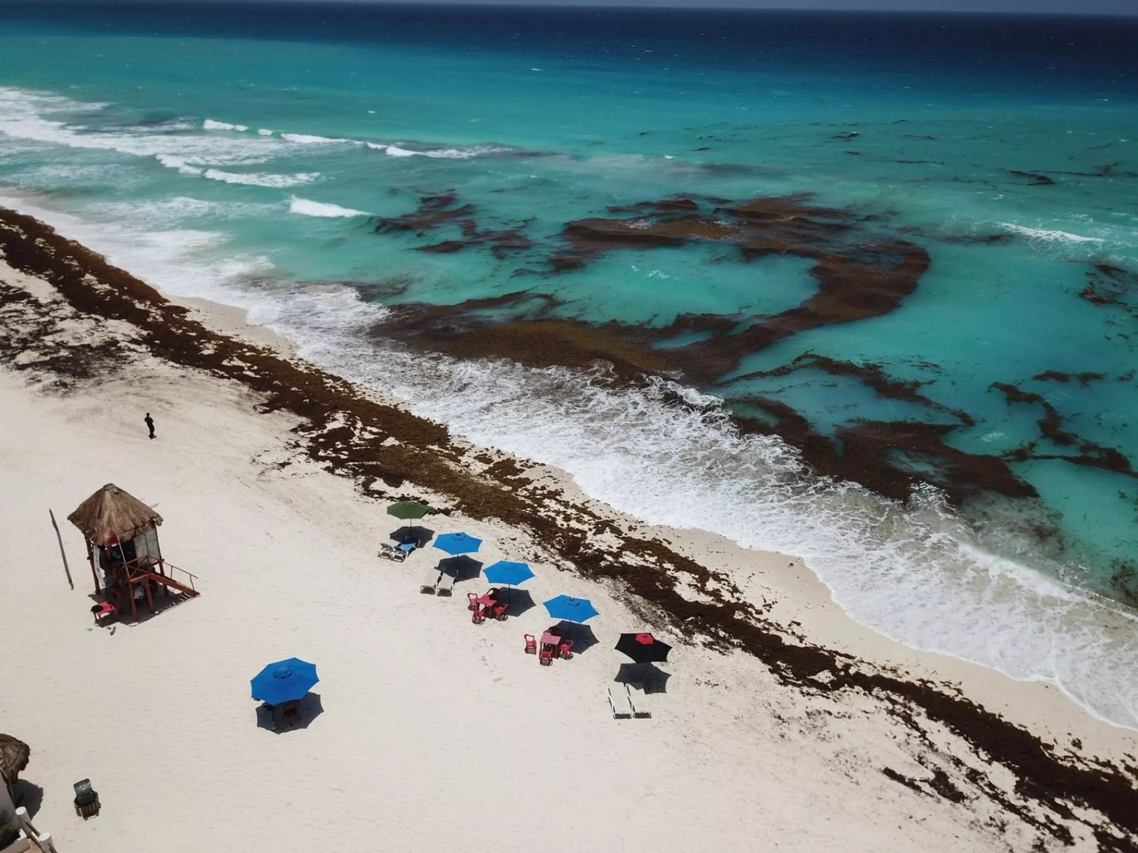 ¿Habrá mucho sargazo en Cancún y Playa del Carmen en 2024?