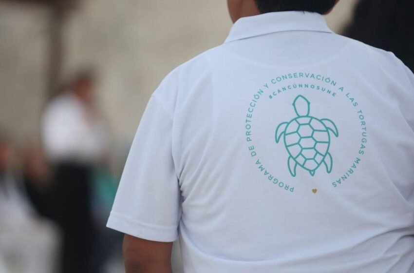  Más de un millón de tortugas marinas liberadas en Cancún: un éxito para la temporada 2023