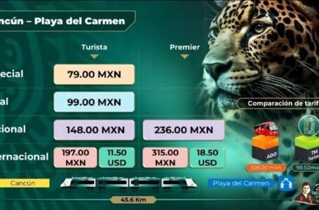 Descubre el costo del viaje en Tren Maya entre Cancún y Playa del Carmen
