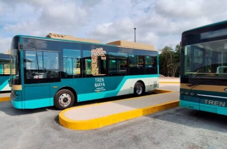 Arriban a Cancún autobuses que conectarán el Tren Maya con el aeropuerto