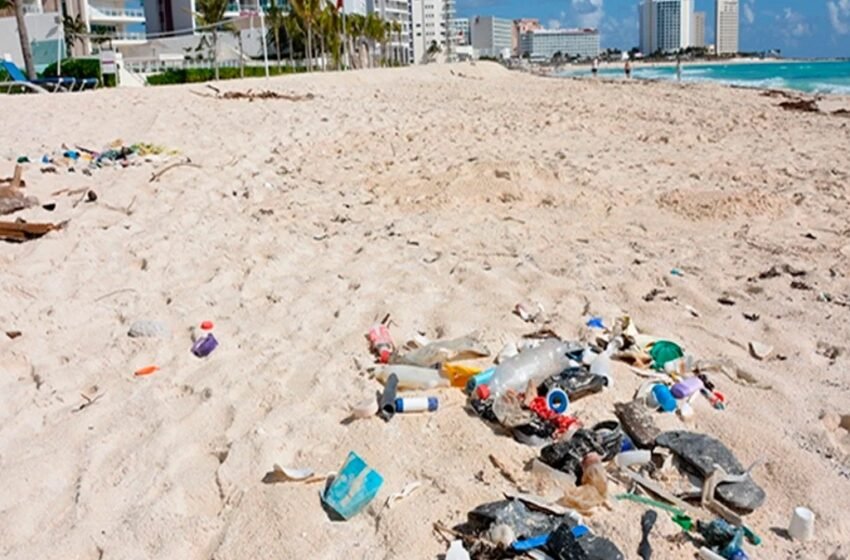 Durante una reciente jornada de saneamiento en la playa Gaviota Azul, se encontraron más de 80 kilos de basura