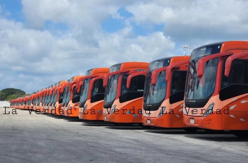  Cancún estrena nuevos autobuses: transformación del transporte público en marcha