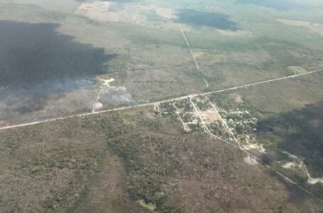 Brigadistas logran contener Incendios forestales en Tulum y Bacalar