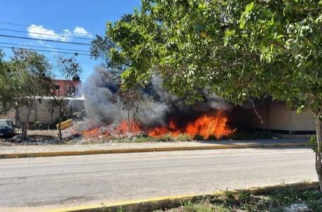 Incendio en un terreno baldío en la región 227 de Cancún