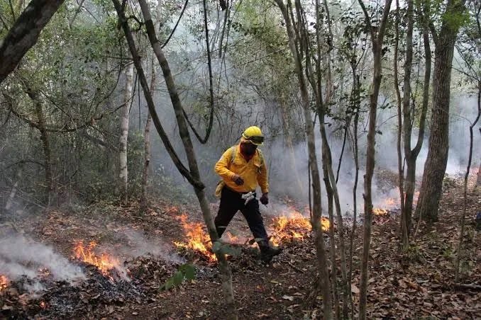  Cancún: Incrementan un 10% los incendios urbanos este año