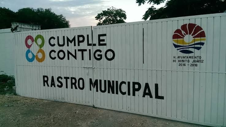 Nuevo Centro de Bienestar Animal en Cancún: Transformación del Antiguo Rastro Municipal