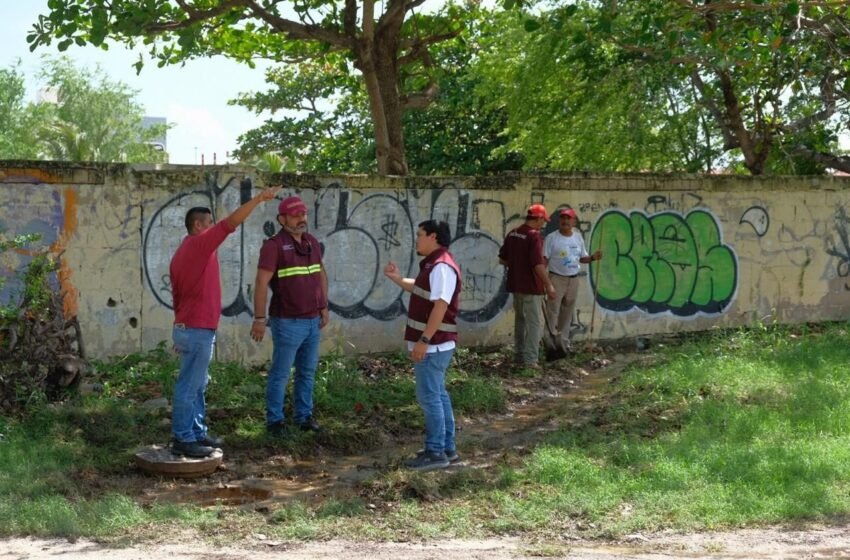 Gobierno de Benito Juárez Intensifica Acciones Preventivas Contra Enfermedades Transmitidas por Vectores