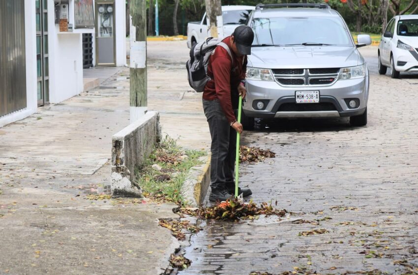 Para prevenir la acumulación de residuos sólidos y basura vegetal en las alcantarillas y pozos de absorción, 60 brigadas están llevando a cabo labores de limpieza intensiva en Cancún