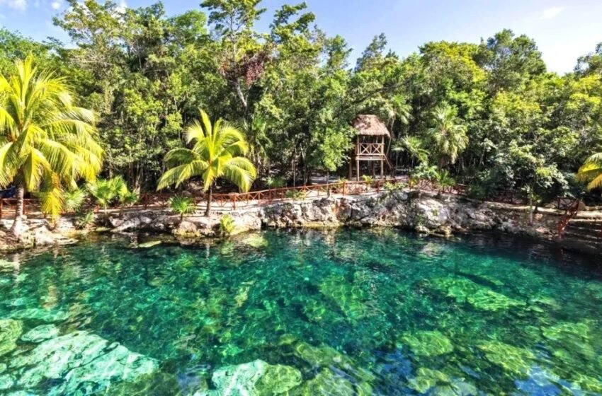  4 Impresionantes Cenotes Cerca de Cancún para Disfrutar este Verano