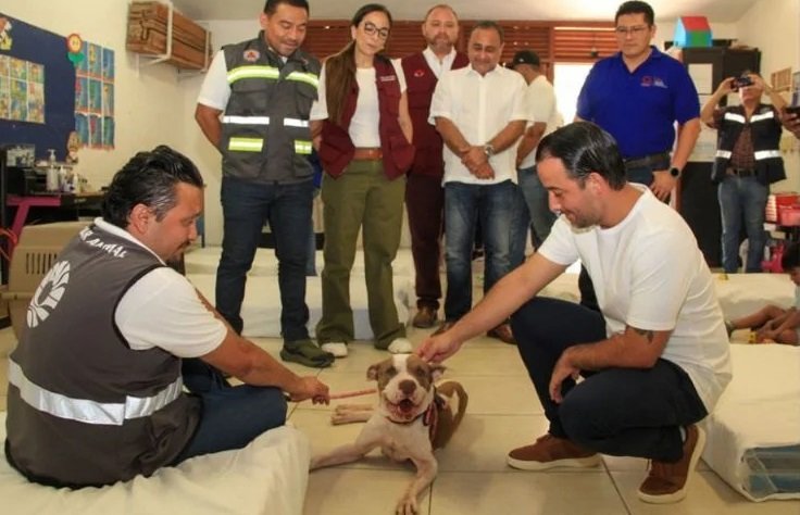 Huracán Beryl: Descubre el Primer Refugio Pet Friendly en Cancún para tus Mascotas