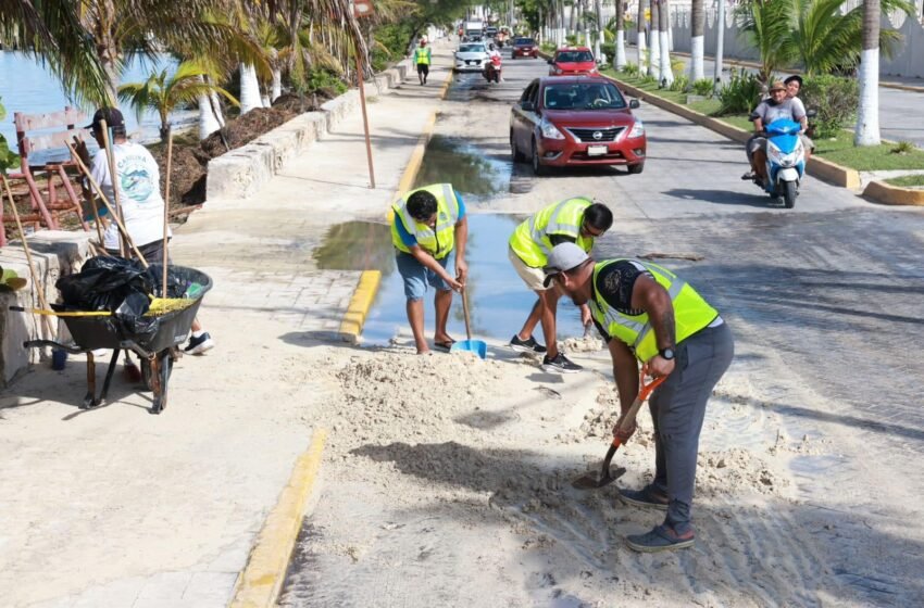  Isla Mujeres Recupera Su Esplendor con Mega Jornada de Limpieza Tras el Huracán «Helene»