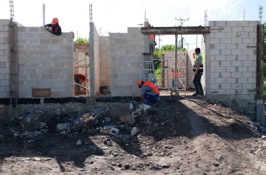  Atenea Gómez Ricalde Supervisa el Progreso del Centro de Bienestar Animal en Isla Mujeres