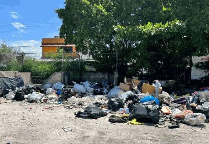 Con estas nuevas medidas, el gobierno de Benito Juárez busca erradicar la proliferación de basureros clandestinos en Cancún, promoviendo un ambiente más limpio y saludable para sus habitantes.