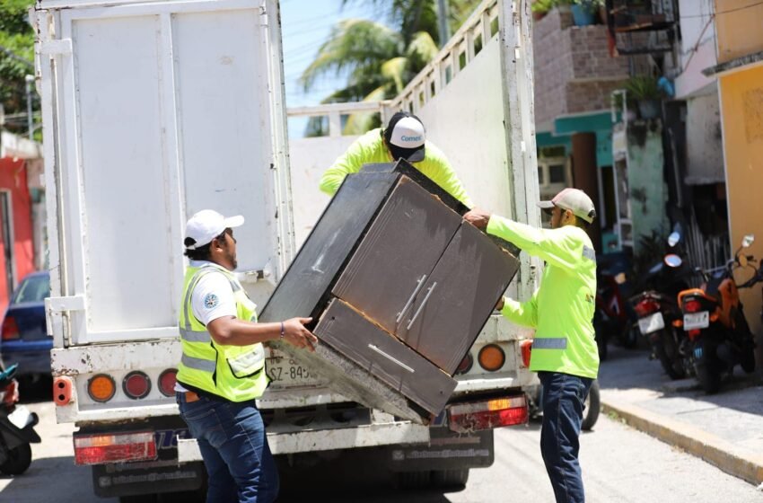 . Este programa busca eliminar criaderos de mosquitos que propagan enfermedades como el dengue, zika y chikungunya.