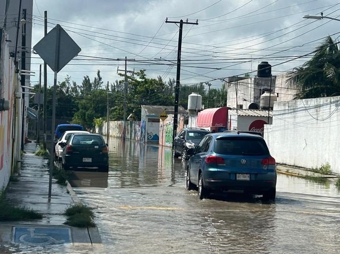 Estas áreas, ubicadas en una zona baja de la ciudad, suelen sufrir encharcamientos importantes durante la temporada de lluvias, afectando a cientos de familias.