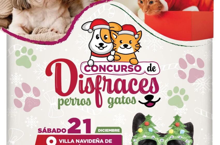 La magia de la Navidad también llega a tus mascotas.