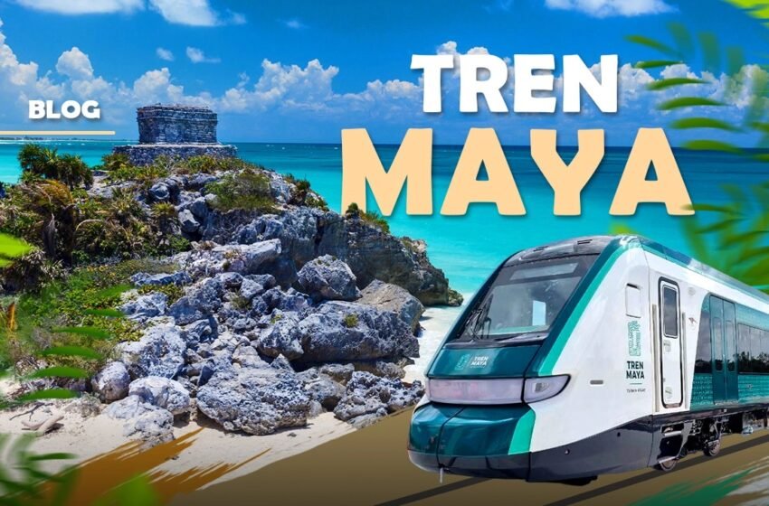 El Tren Maya celebra su primer aniversario con concursos y paquetes turísticos para explorar el sureste de México.