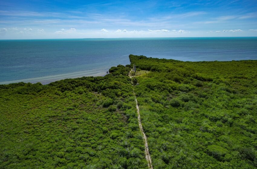 Este plan respeta plenamente la Reserva de Sian Ka’an, Patrimonio de la Humanidad y símbolo de sostenibilidad.