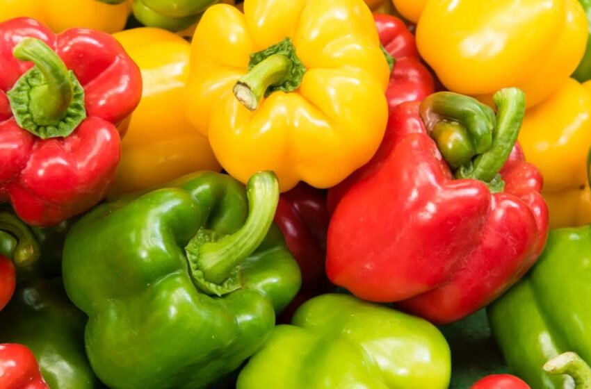  Pimiento: Propiedades, beneficios y valor nutricional de esta hortaliza saludable