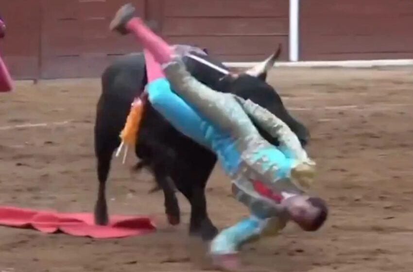  Emilio Macías, torero mexicano, sufre grave cornada y pasa más de 9 horas en cirugía